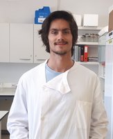 PauloSilva