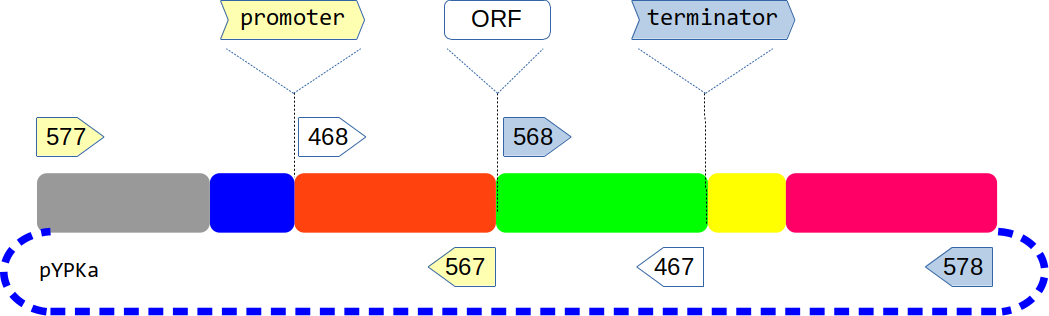 641