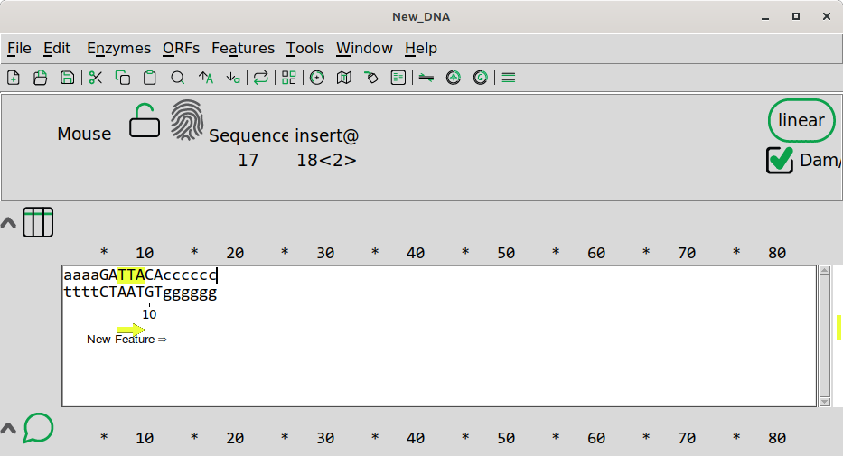ApE - A Plasmid Editor
